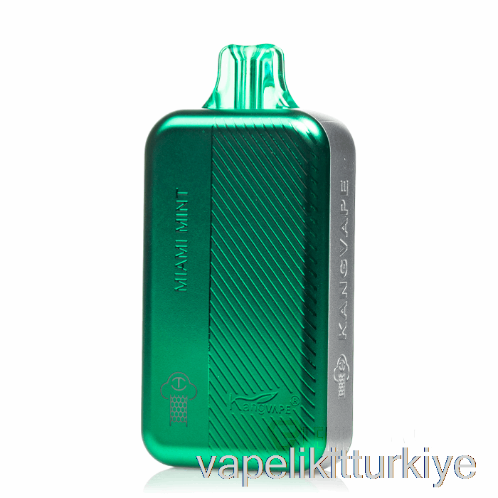 Vape Elektronik Sigara Kangvape Tc8000 Tek Kullanımlık Miami Nane